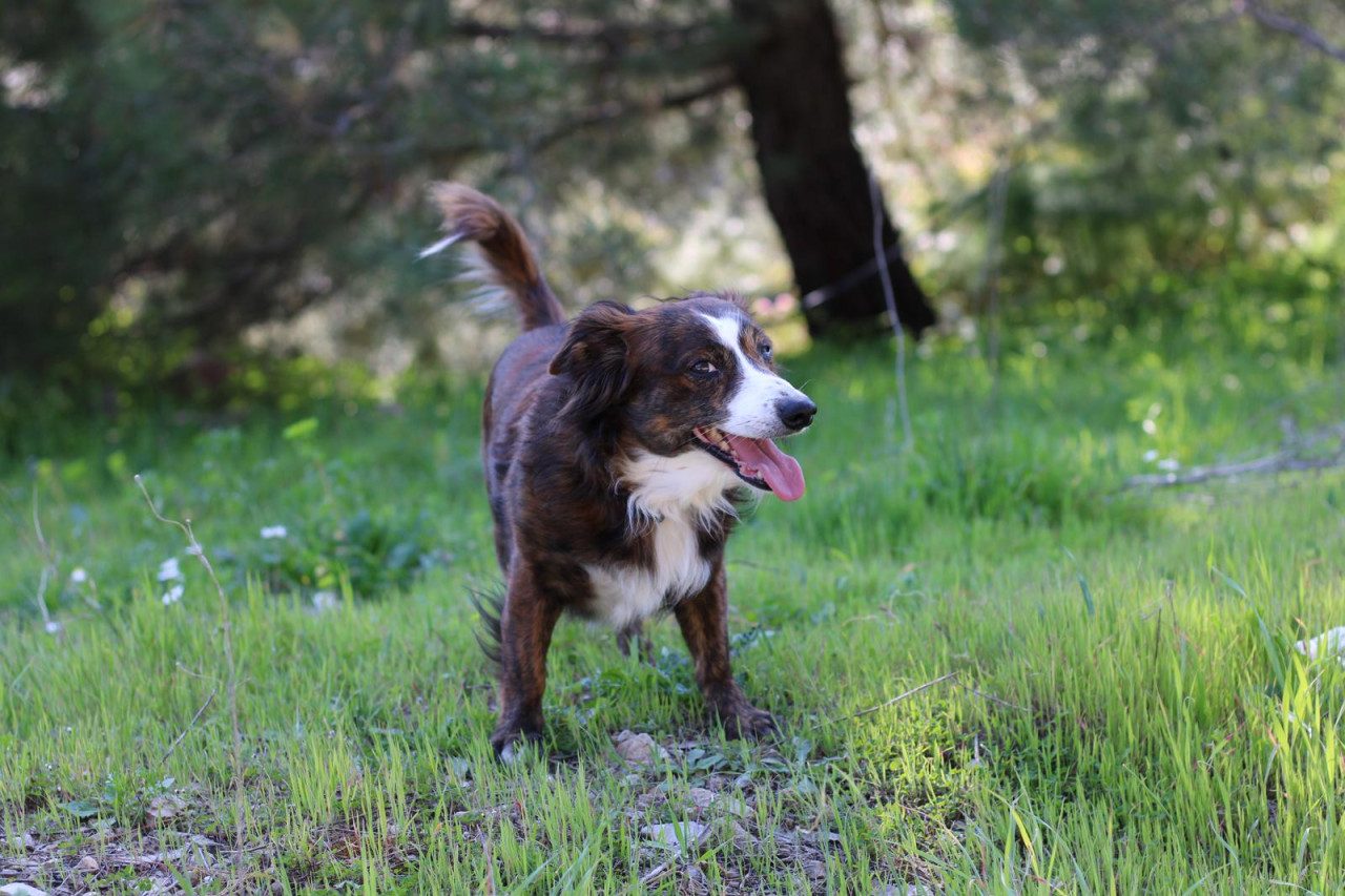 RUS FİNOSU OĞLUMA EŞ 3